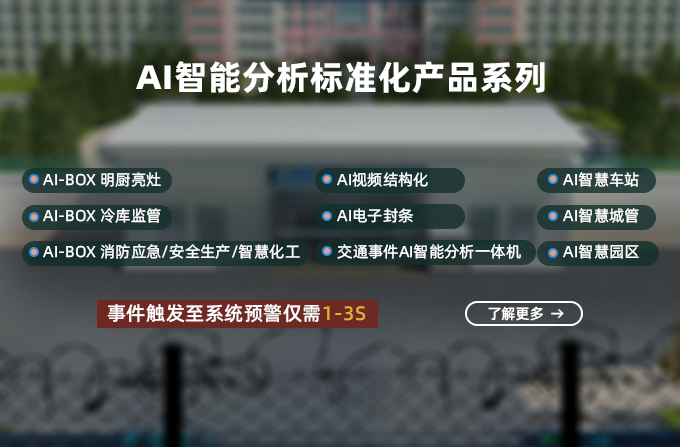 <strong>AI视频分析标准化产品</strong>