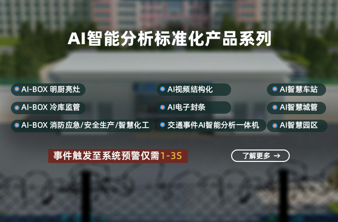 <strong>AI智能分析标准化产品</strong>